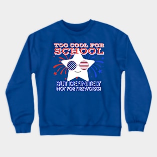 I'm too cool for school but definitely not for fireworks Crewneck Sweatshirt